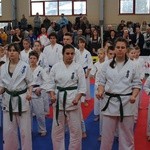 Karate w Rudniku nad Sanem