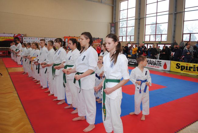 Karate w Rudniku nad Sanem