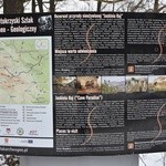 Ferie z Dominikiem Savio