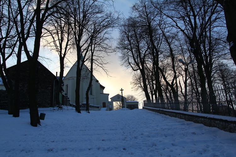 Kompania Jonatana na Górze św. Anny