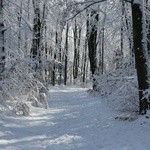 Zima potrafi być sroga, ale i piękna