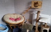 Nowoczesne schronisko w Sosnowcu - Milowicach