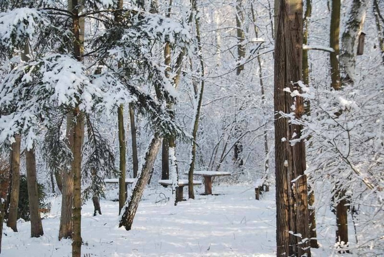 Zima u jezuitów w Gliwicach