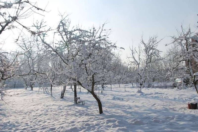 Zima u jezuitów w Gliwicach