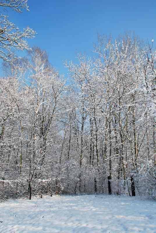 Zima u jezuitów w Gliwicach