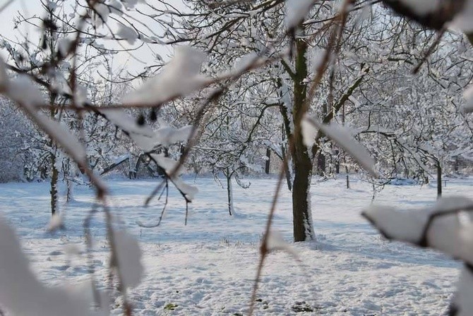 Zima u jezuitów w Gliwicach