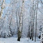 Zima u jezuitów w Gliwicach