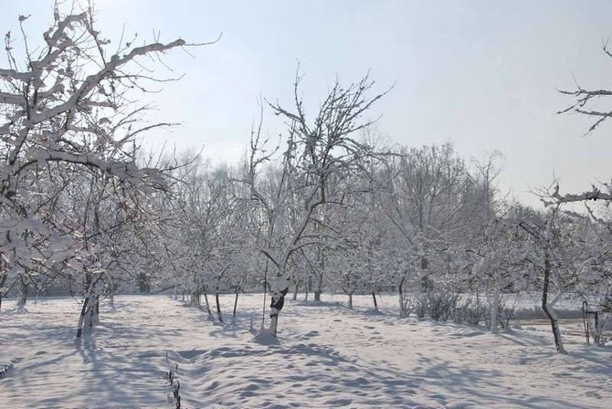 Zima u jezuitów w Gliwicach