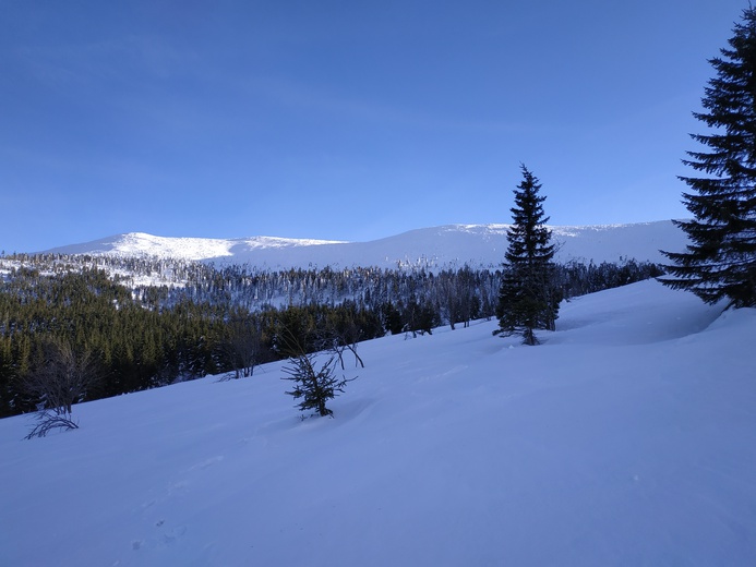 Skauci Europy w Karkonoszach