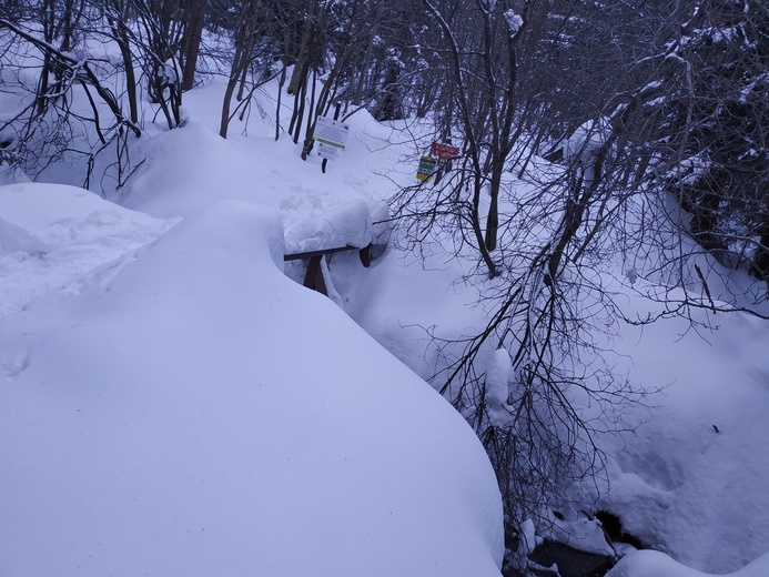 Skauci Europy w Karkonoszach