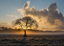 Klasztorny kucharz, który nosił w sobie bezcenną tajemnicę