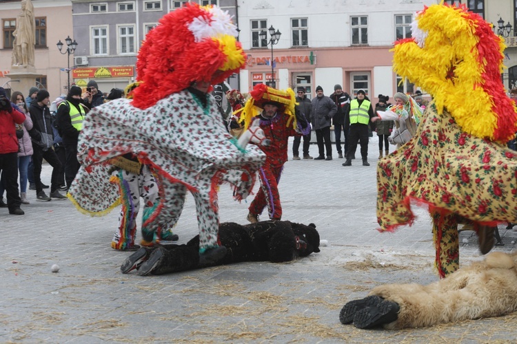 50. Gody Żywieckie w obiektywie - 2019