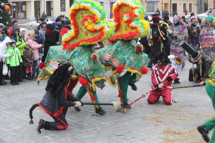 50. Gody Żywieckie w obiektywie - 2019