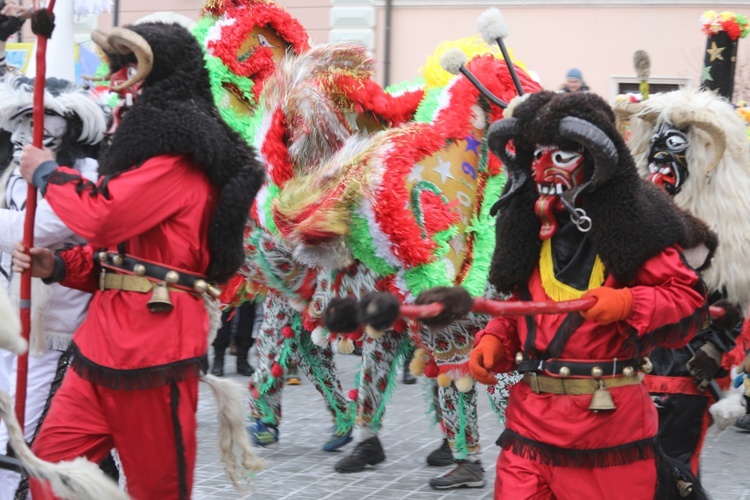 50. Gody Żywieckie w obiektywie - 2019