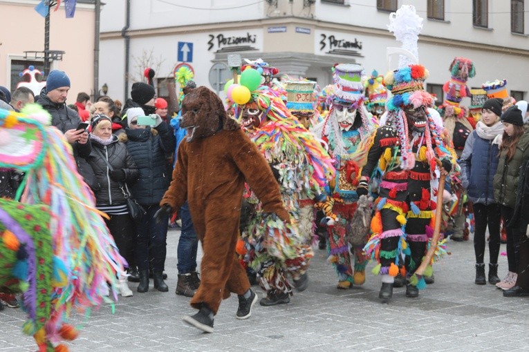 50. Gody Żywieckie w obiektywie - 2019