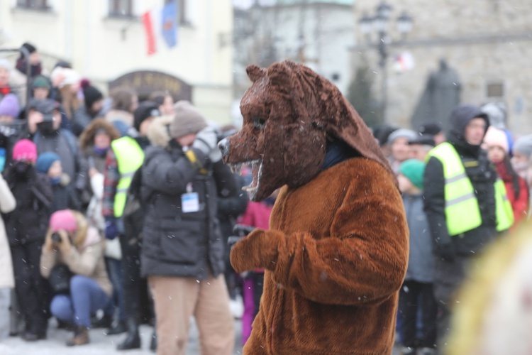 50. Gody Żywieckie w obiektywie - 2019