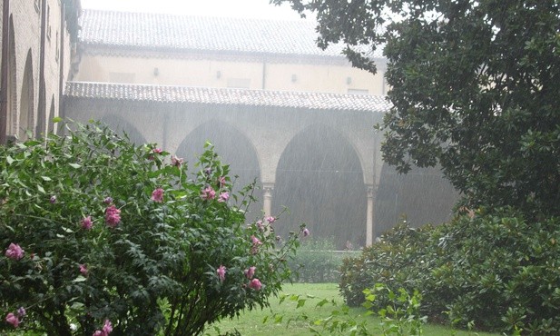 Użyźniający wszystko deszcz