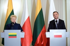 Prezydenci Polski i Litwy zgodnie w kwestii współpracy wojskowej, Nord Stream 2
