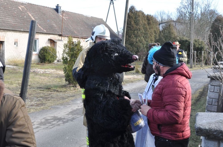 Wodzenie niedźwiedzia w Dębiu