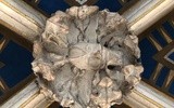Odkrycia w sandomierskiej katedrze 