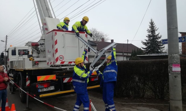 Energetycy Taurona pomagają bocianom