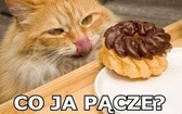 Memy na tłusty czwartek