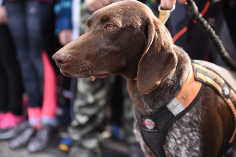 Wilczym Tropem w Jadownikach 2019