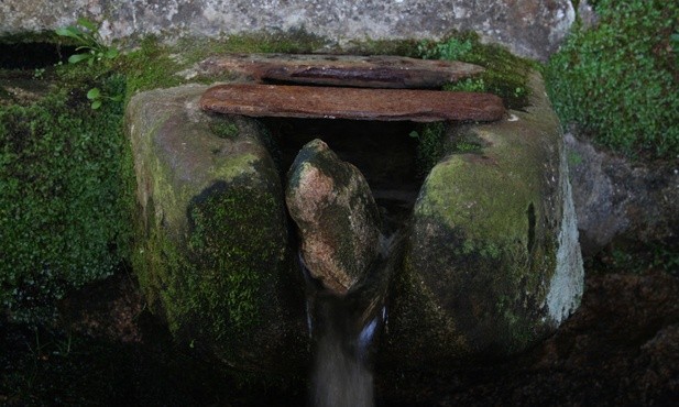Radość wysiłku powrotu do źródeł