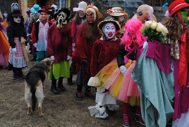 Zapusty w Radomyślu nad Sanem