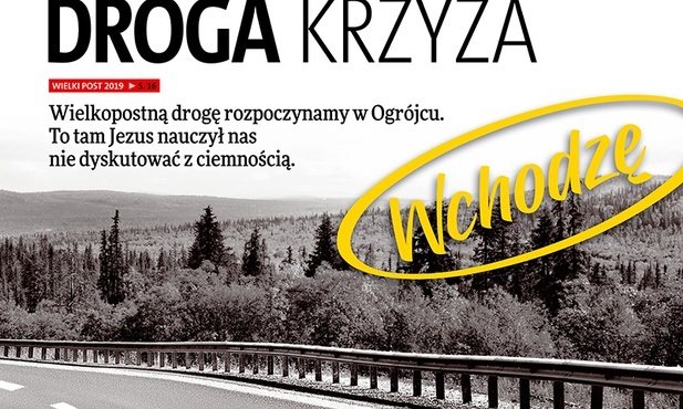 Pogodzić się z życiem