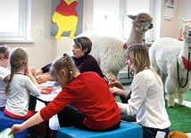 Żywe antydepresanty