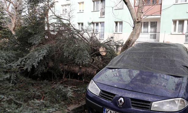 Po nocnym huraganie: Najtrudniejsza jest sytuacja w województwach śląskim i małopolskim