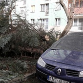 Po nocnym huraganie: Najtrudniejsza jest sytuacja w województwach śląskim i małopolskim