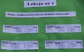 Katowice: Nauczyciele pikietują Śląski Urząd Wojewódzki + paski nauczycieli