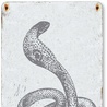 Kobra egipska to wyjątkowo niebezpieczny gad. Jego ukąszenie jest śmiertelne. Wąż ten stanowił symbol władzy faraonów.
