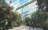 Sosnowiec buduje Centrum Edukacji Ekologicznej - WIZUALIZACJA