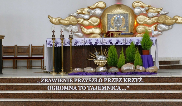 Rejonowy Dzień Wspólnoty w Wałbrzychu