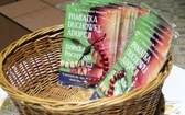 Rocznica ustanowienia diecezji