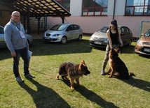 Wystawa psów rasowych w Rudniku nad Sanem