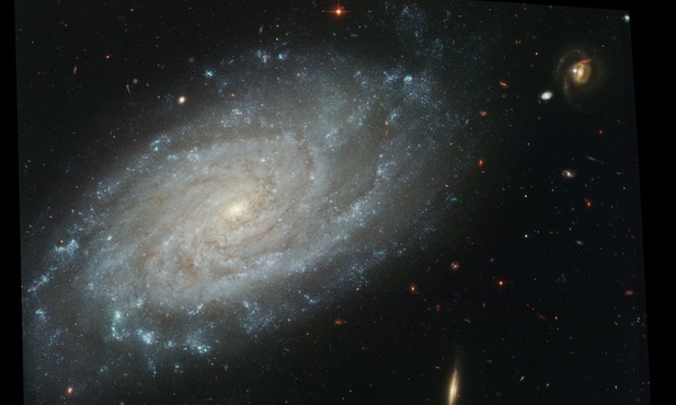 Galaktyka spiralna
