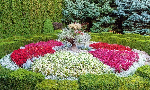 ▲	Za grotą Matki Bożej.