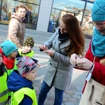 Pola Nadziei w Szczecinku