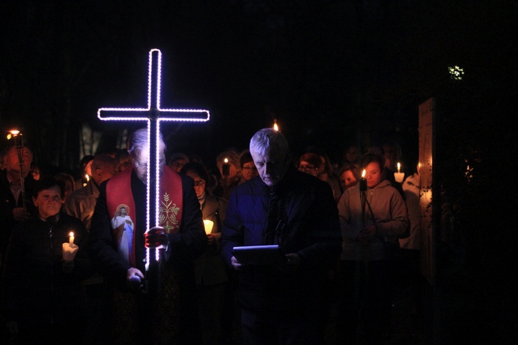 Droga Krzyżowa aptekarzy w Kamieniu Śląskim