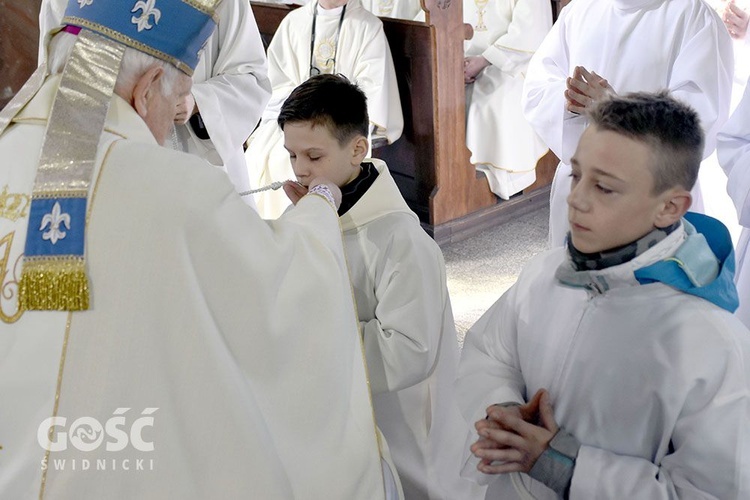 Błogosławieństwo nadzwyczajnych szafarzy, ceremoniarzy i lektorów