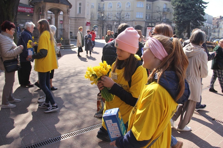 Pola Nadziei na Pomorzu 2019