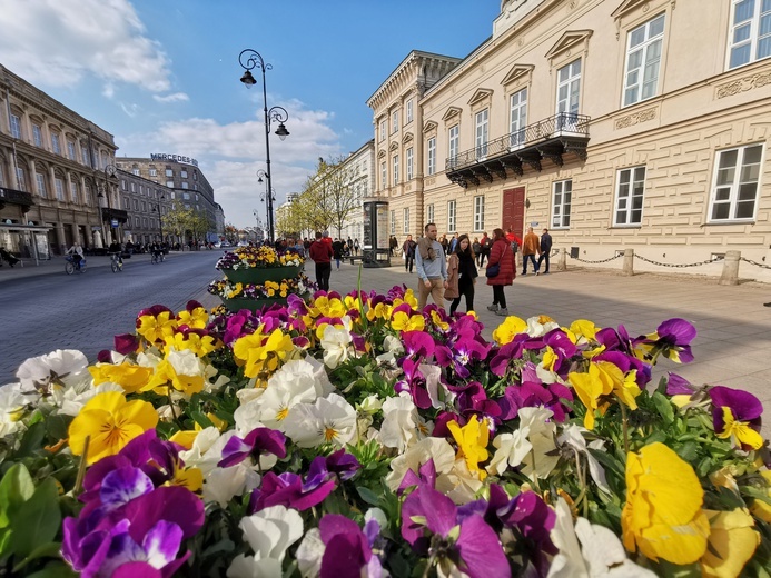Warszawa zapachniała wiosną