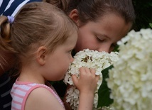 Ogród Botaniczny jest atrakcją dla osób w każdym wieku.