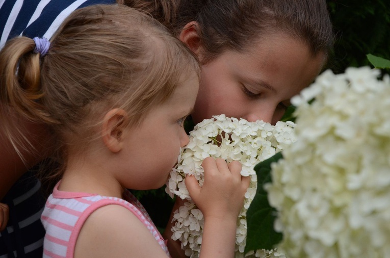 Ogród Botaniczny jest atrakcją dla osób w każdym wieku.