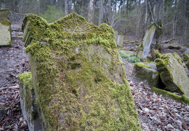 Sprzątanie żydowskiego cmentarza w Świdwinie