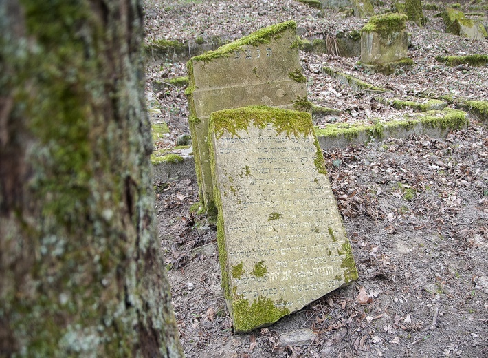 Sprzątanie żydowskiego cmentarza w Świdwinie